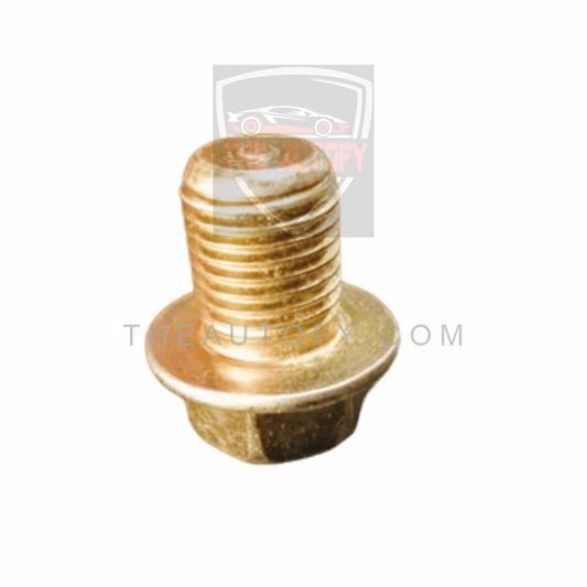 Engine Chamber Bolt - THEAUTOFY.COM