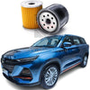 Changan-Oshan-X7-Oil-Filter-Model-2022-2024