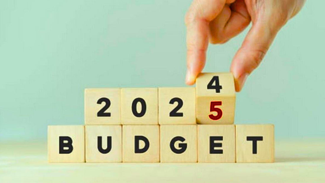 Insights into Pakistan's Federal Budget 2024-2025