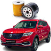 DFSKGlory580ProGenuineOilFilter_1dd08f36-bc2a-4b50-9e2b-73145579dcf5