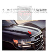 Land-cruiser-2